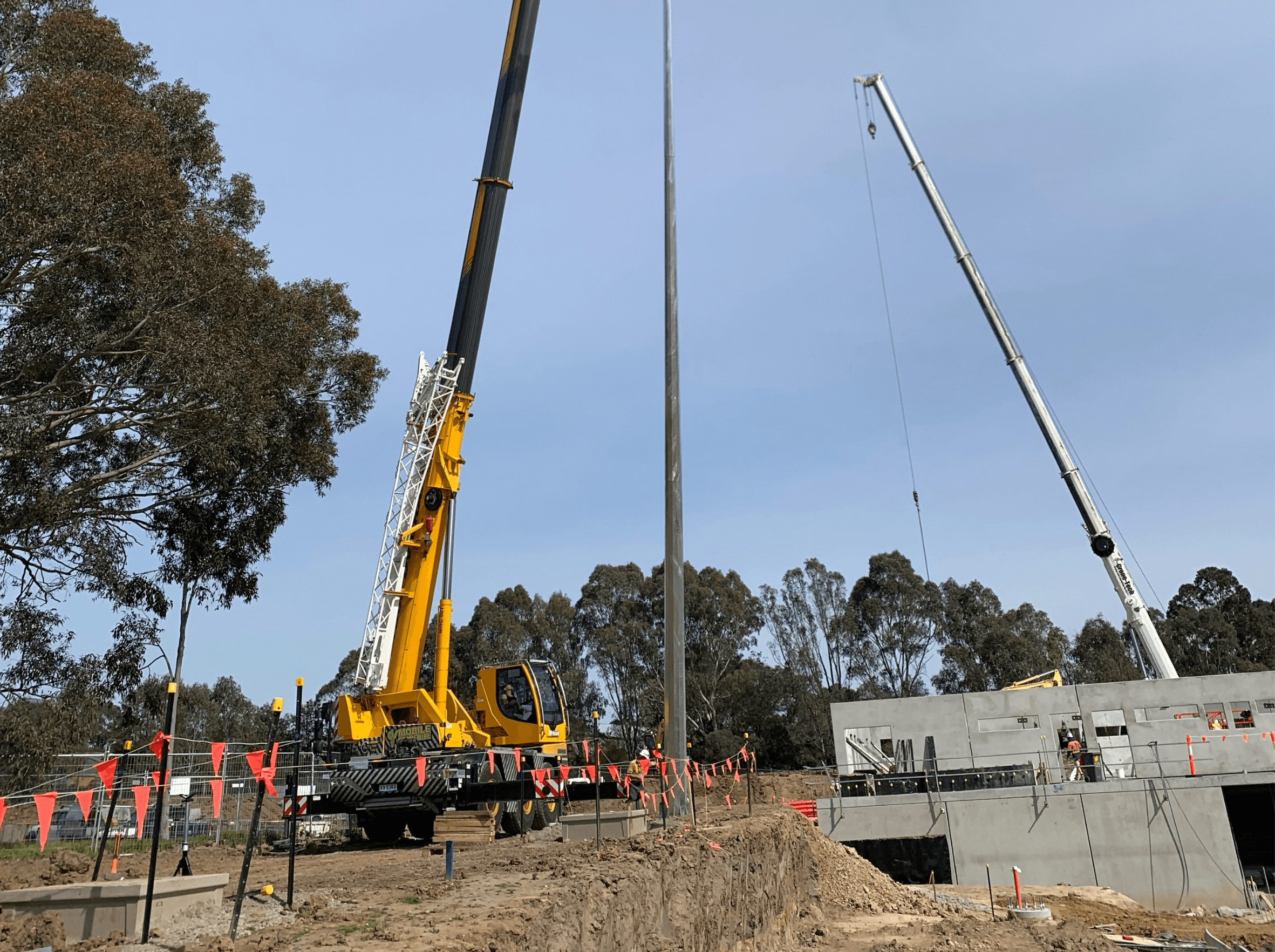 Powerful Owl Park - grandstand